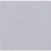 Dalle Lisa gris perla 50 x 50 x 4 cm T7