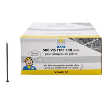 Vis tête trompette à pointe clou longueur 120mm boîte de 500